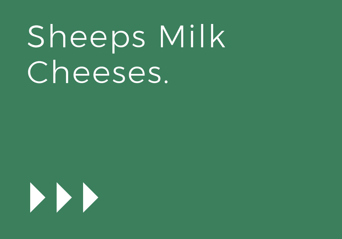 Sheeps-Milk-Cheese-1