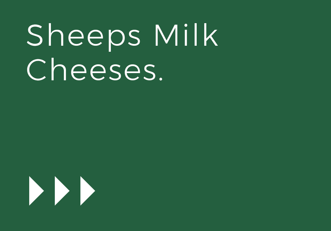 Sheeps-Milk-Cheese-2