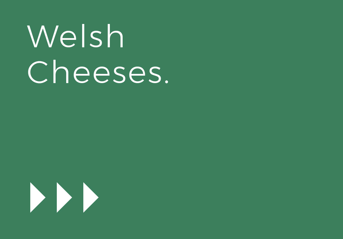 Welsh-Cheese-1
