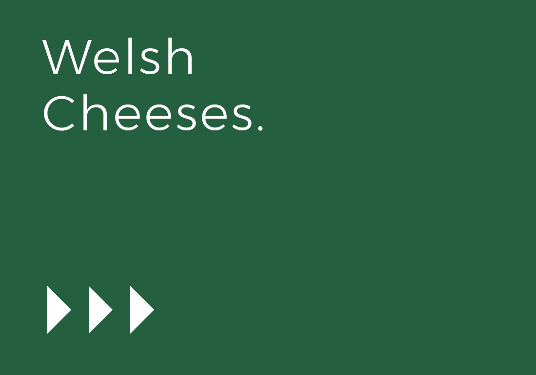 Welsh-Cheese-2